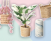 Target’s Best-Selling Skincare Products in 2025