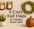 Top 5 Cozy Fall Finds at Target Right Now 🍂
